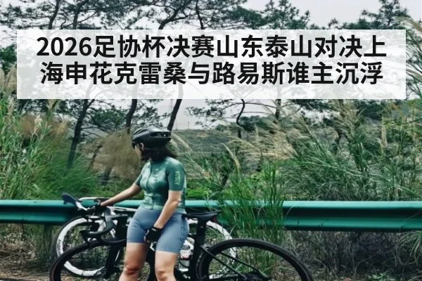 2026足协杯决赛山东泰山对决上海申花克雷桑与路易斯谁主沉浮